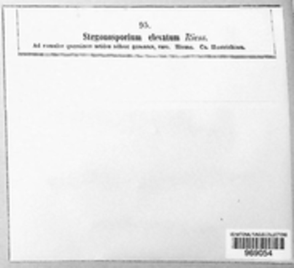 Coryneum elevatum image